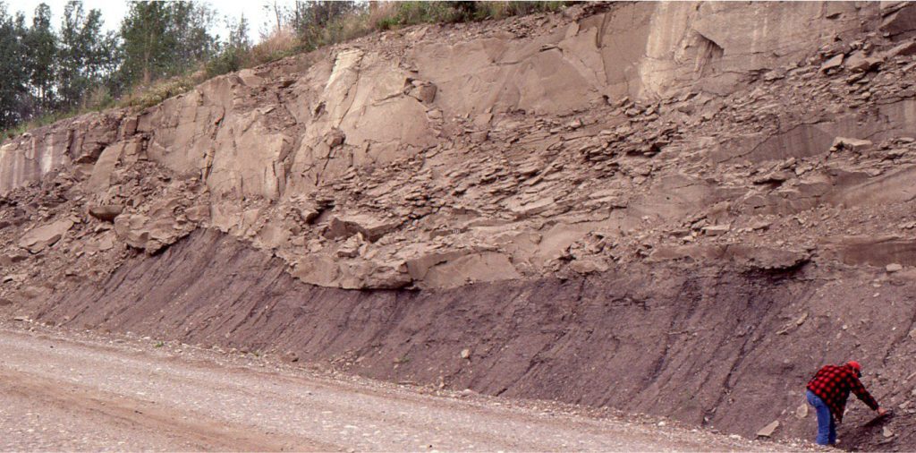 An amalgamation of sandstone beds filling a fluvial channel – the lowest bed has a distinctive concave-upward bedding plane. Dunvegan Formation (Cretaceous), Alberta.