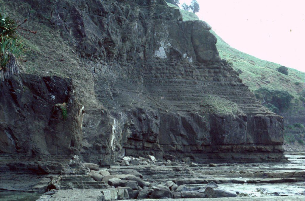 Well-developed parallel bedding in an Early Miocene turbidite-debris flow succession. There is a huge range of bed thicknesses here, from 1-2 cm to about 300 cm. Individual beds can be trace laterally for a few hundred metres. Goat Island Marine Reserve, New Zealand.