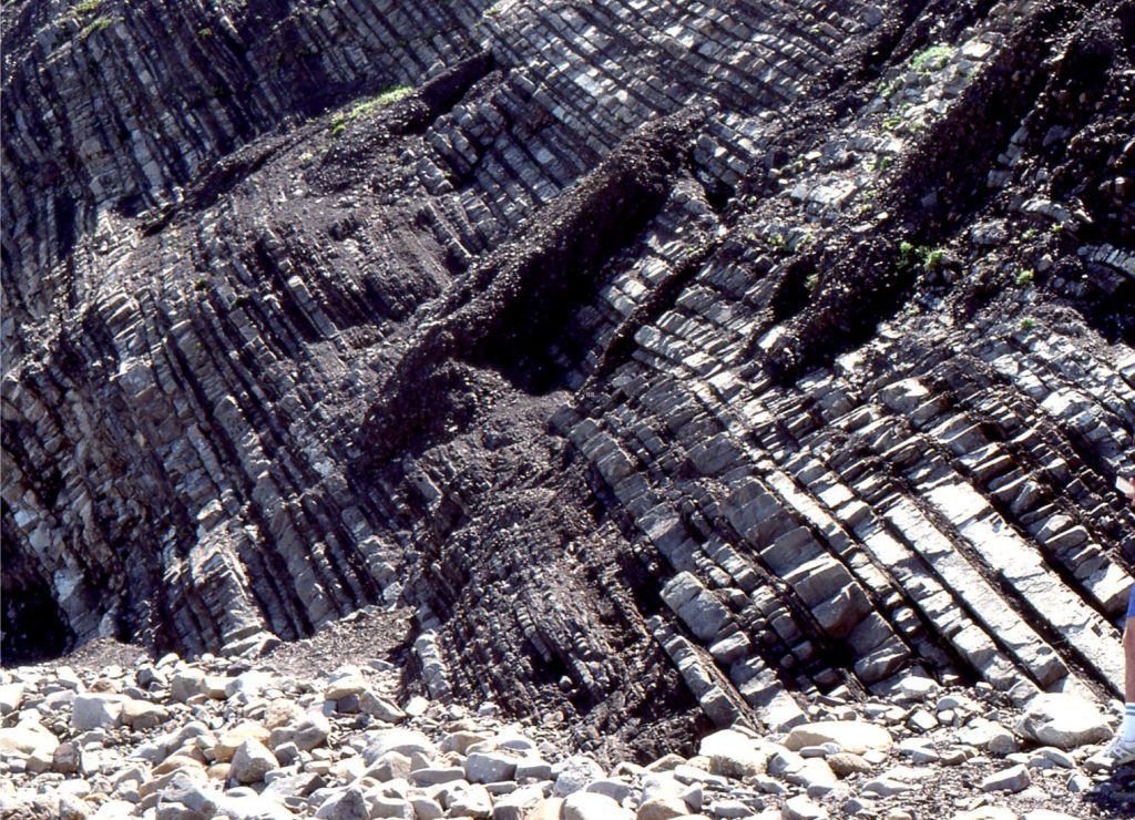 Parallel bedding in a Paleocene turbidite succession, Point San Pedro, California. The thickness of individual beds varies little along their lateral extent, at least within the confines of the outcrop; our view of bedding planes is limited to their 2D extent. The thickest bed is about 50 cm.