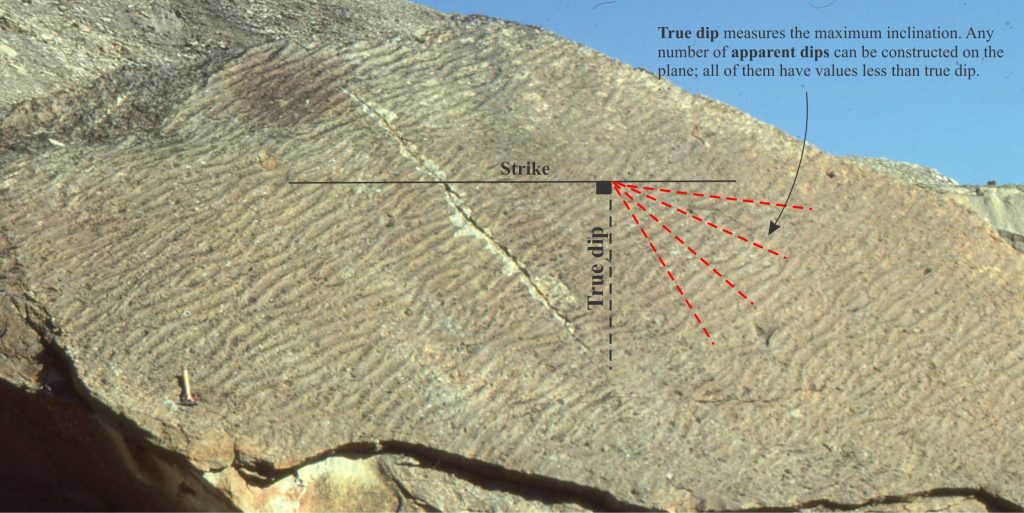 A tilted bedding plane covered with current ripples. The strike, true dip, and apparent dips of are indicated. Paleocene, Ellesmere Island, Arctic Canada.