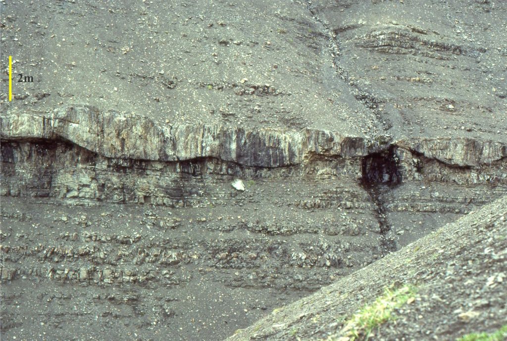 The channel-like, lower bounding surface of a crossbedded fluvial sandstone bed has eroded the underlying shelf deposits, in places removing several beds. The fluvial sandstone was deposited during a sea level lowstand when terrestrial drainage extended across the exposed shelf. Jurassic Bowser Basin, northern British Columbia.