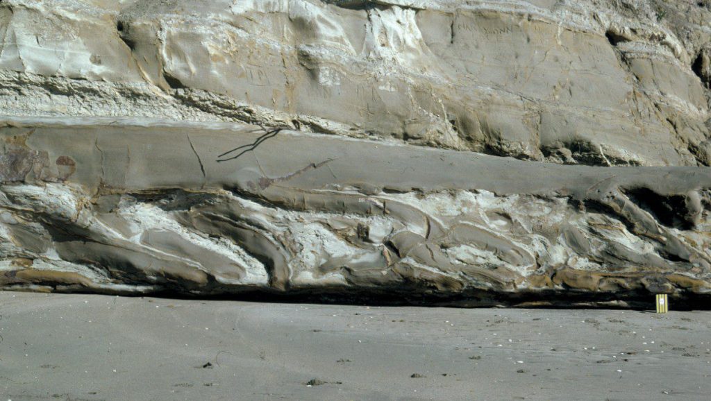 A very distinctive event bed in the Lower Miocene Waitemata Basin, Auckland, consisting of slumped, pulled-apart, folded, and partially liquified sandy turbidite beds. The basal contact is an undeformed glide-plane – a surface over which the entire mass transport deposit moved. The upper bedding plane is irregular, reflecting the relief on top of the slump package, and over which the next sediment gravity flow was deposited.