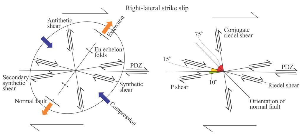 The strain ellipse is a convenient way to show the relationship between structure and the principal axes of extension and compression, with respect to the master strike-slip fault (PDZ- Principal deformation zone). There are two terminological conventions: the general terms synthetic – antithetic apply to almost any conjugate fault system; the sense of displacement along synthetic faults is the same as the PDZ, and opposite for antithetic structures. The Riedel shear terms apply specifically to strike-slip faults. The examples here are for right-lateral (dextral) strike-slip displacements. Modified from Biddle and Christie-Blick, 1985, op cit.; Allen and Allen, 2013. 
