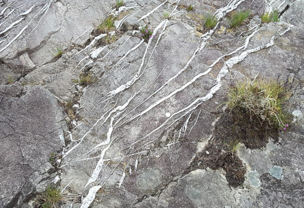 Conjugate fractures and en echelon tension gashes – indicators of brittle failure in Old Red Sandstone, Gougane Barra, County Cork, Ireland.